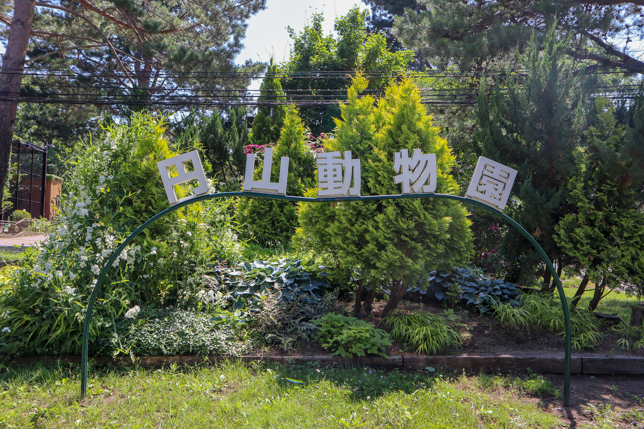 円山動物園