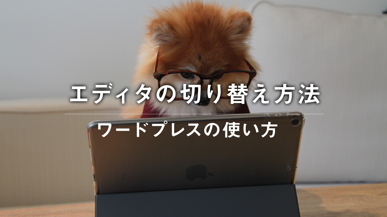 投稿画面が使いづらい？2種類の投稿画面の切り替え方法【ブロックエディターとクラシックエディター（旧エディター）を切り替えたい】